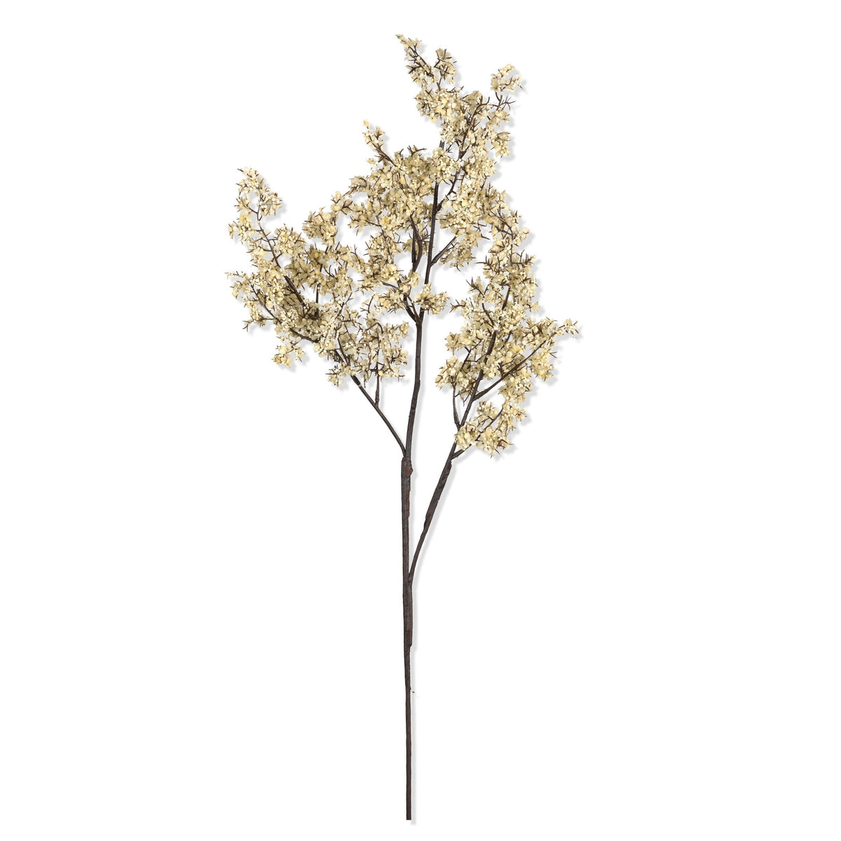 Artificial Sedge Winter Dew by Abigail Ahern on a white background, a single branching stem with soft pale clusters