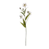 Artificial Wild Cosmos cutout by Abigail Ahern