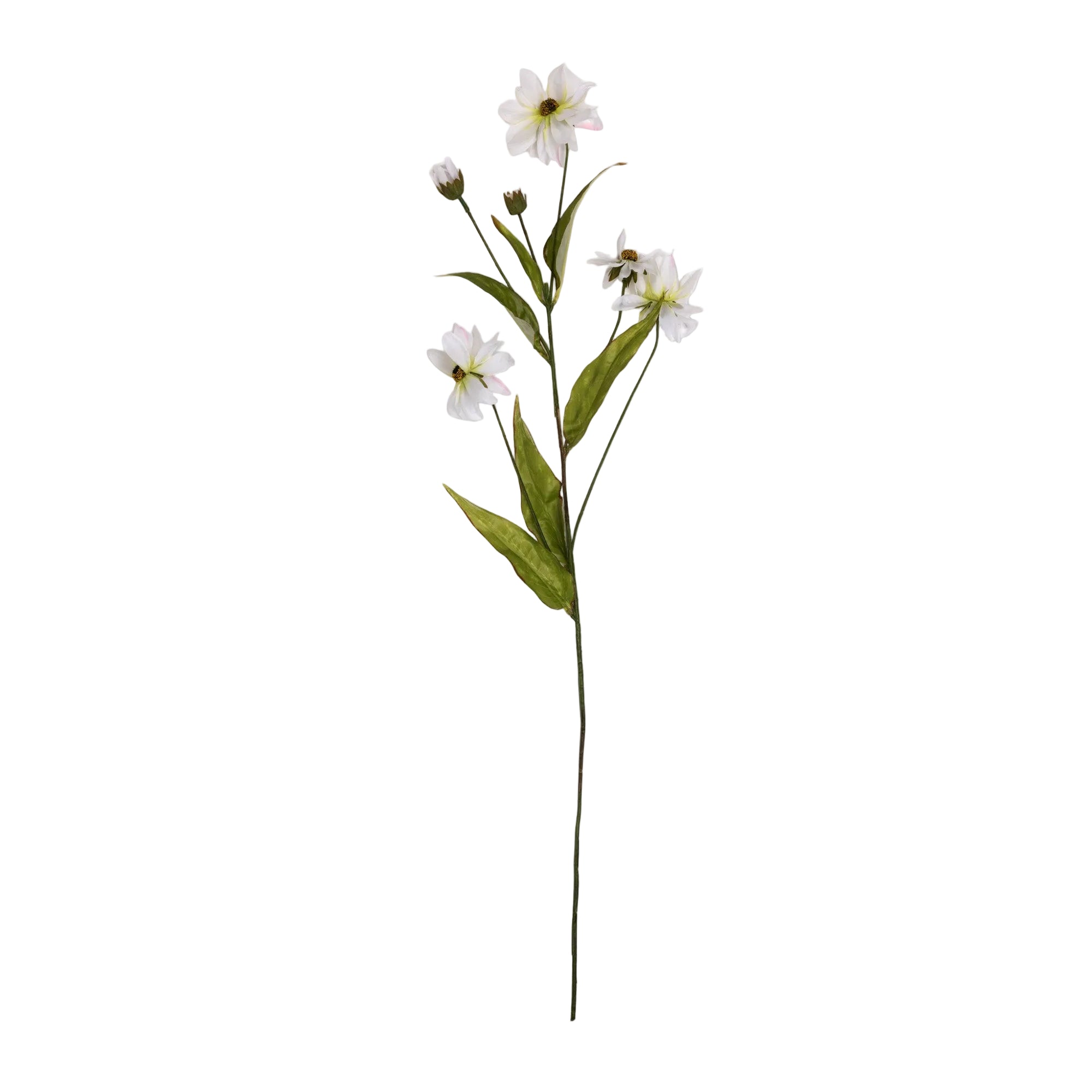 Artificial Wild Cosmos cutout by Abigail Ahern