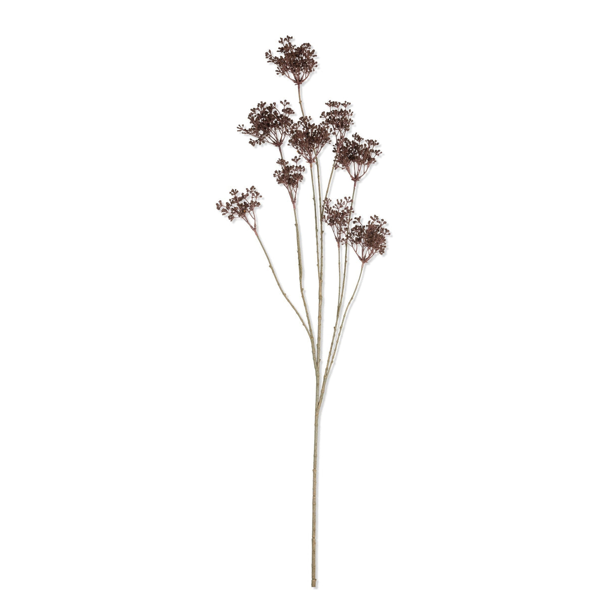 Artificial Woodland Yarrow by Abigail Ahern on a white background, a single tall stem with clustered chocolate brown heads