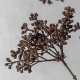 Clustered chocolate brown heads of Artificial Woodland Yarrow by Abigail Ahern against a soft gray backdrop