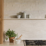 Calimia Home Assisi Dry Goods Canister in Bianco on a kitchen shelf next to a stove and potted herb.