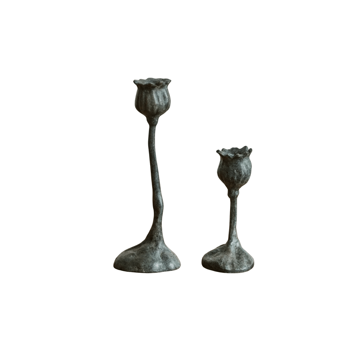 Bronze Poppy Candle Stick by Campo de' Fiori