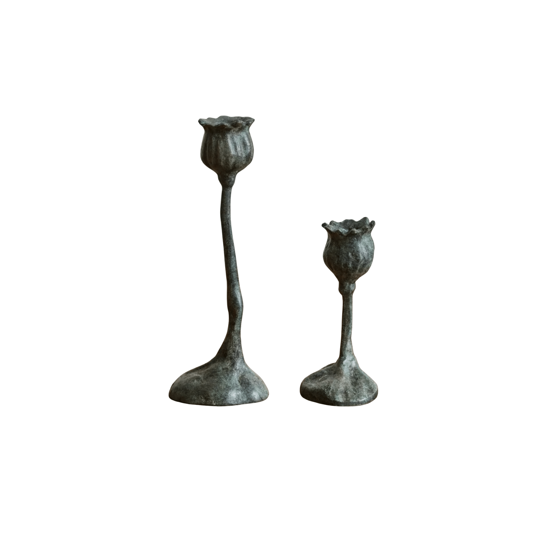 Bronze Poppy Candle Stick