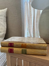Fredman's Epistles antique bindings detail