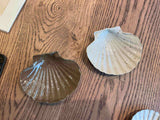 Ceramic shell — detail of glaze and ridges