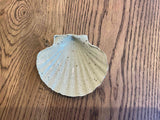 Ceramic shell — sculptural decor object