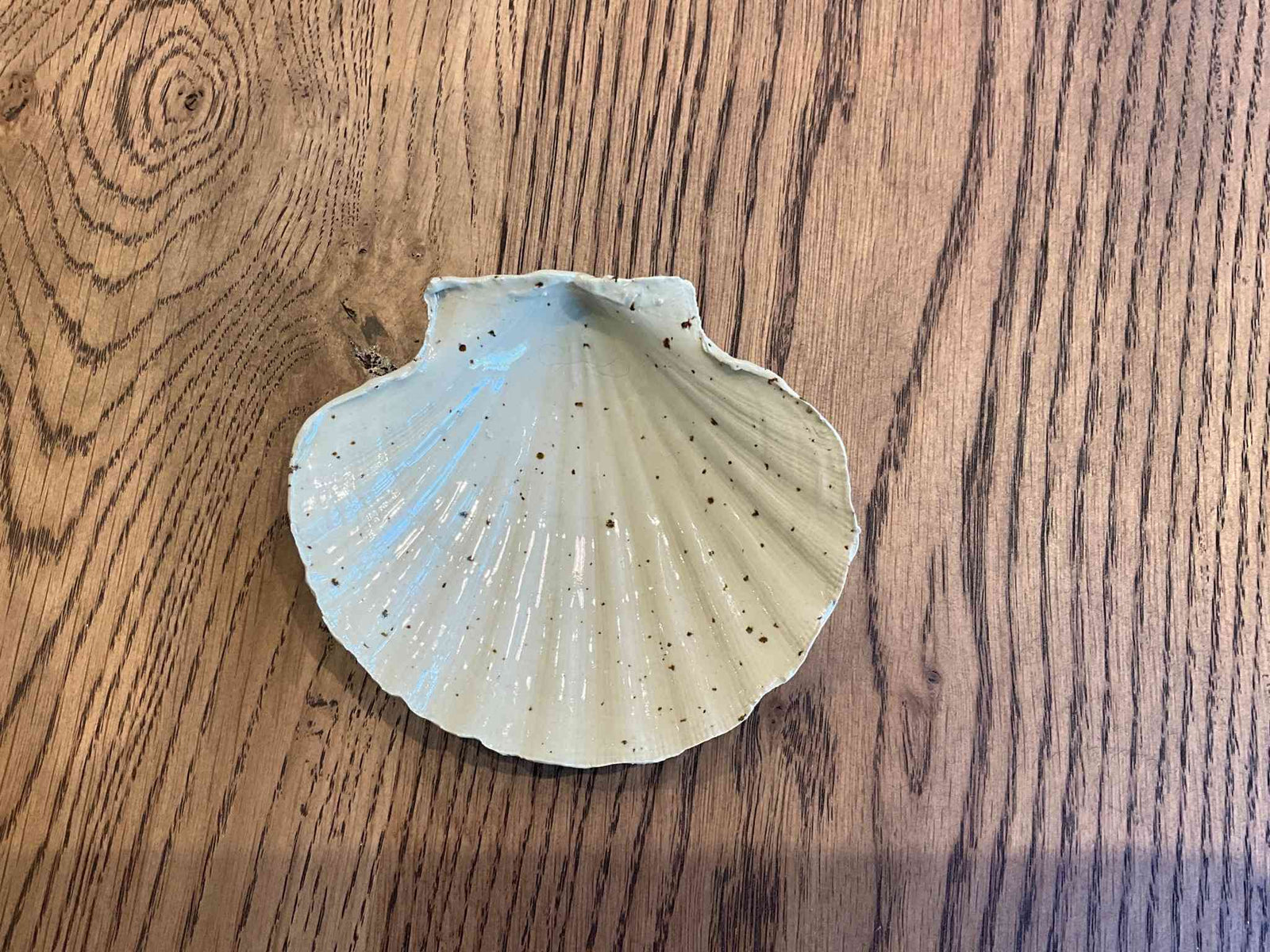 Ceramic shell — sculptural decor object