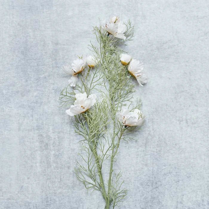 Single artificial cosmos cream stem on white background, tall slender faux floral
