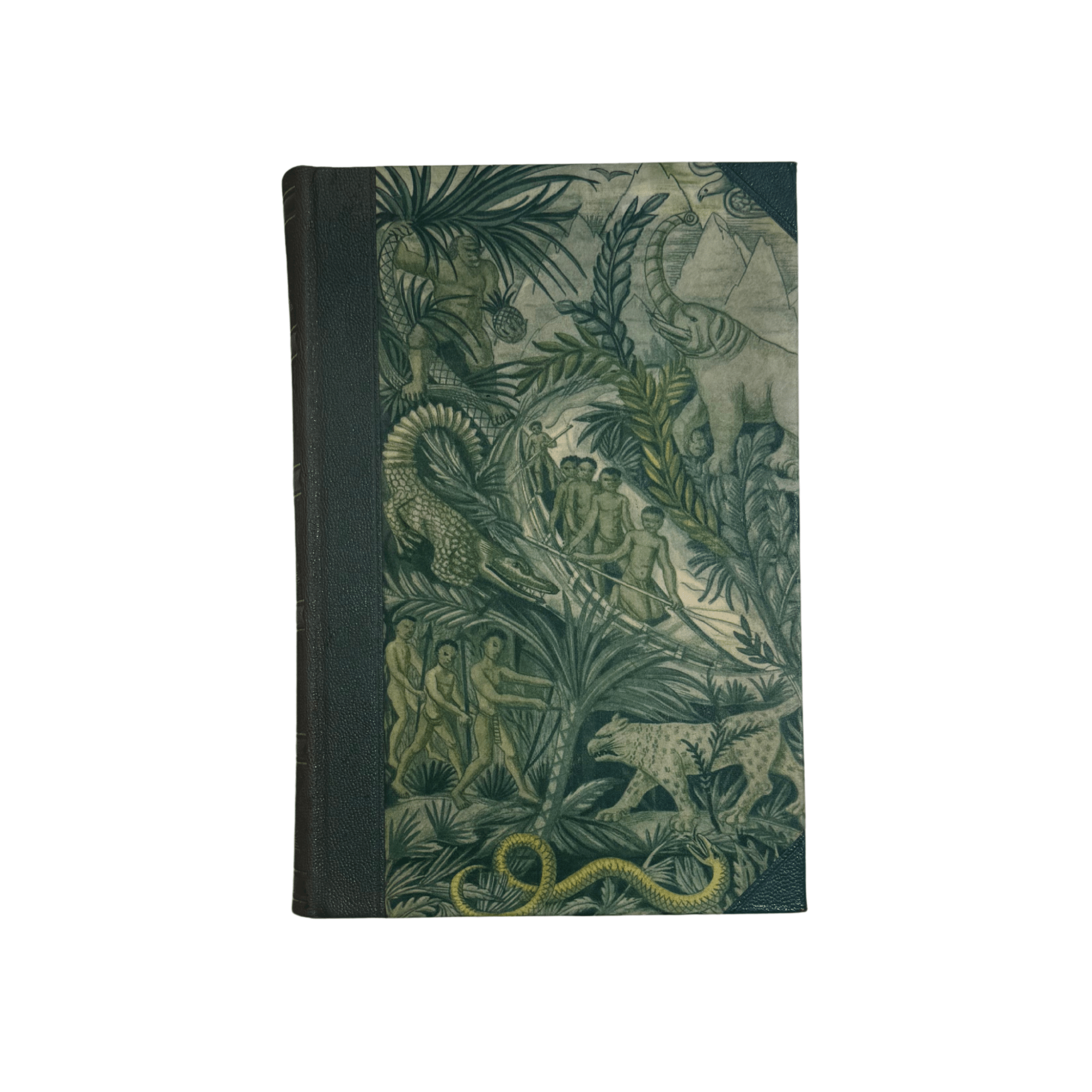 David Livingstone, Rese Berättelser - Book Set (S2)