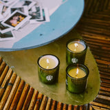 Flamingo Estate Douglas Fir & Ancient Vetiver soy candles in fluted forest-green glass vessels on a bamboo table.
