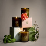 Flamingo Estate soy wax candles in fluted forest-green glass vessels with botanical accents