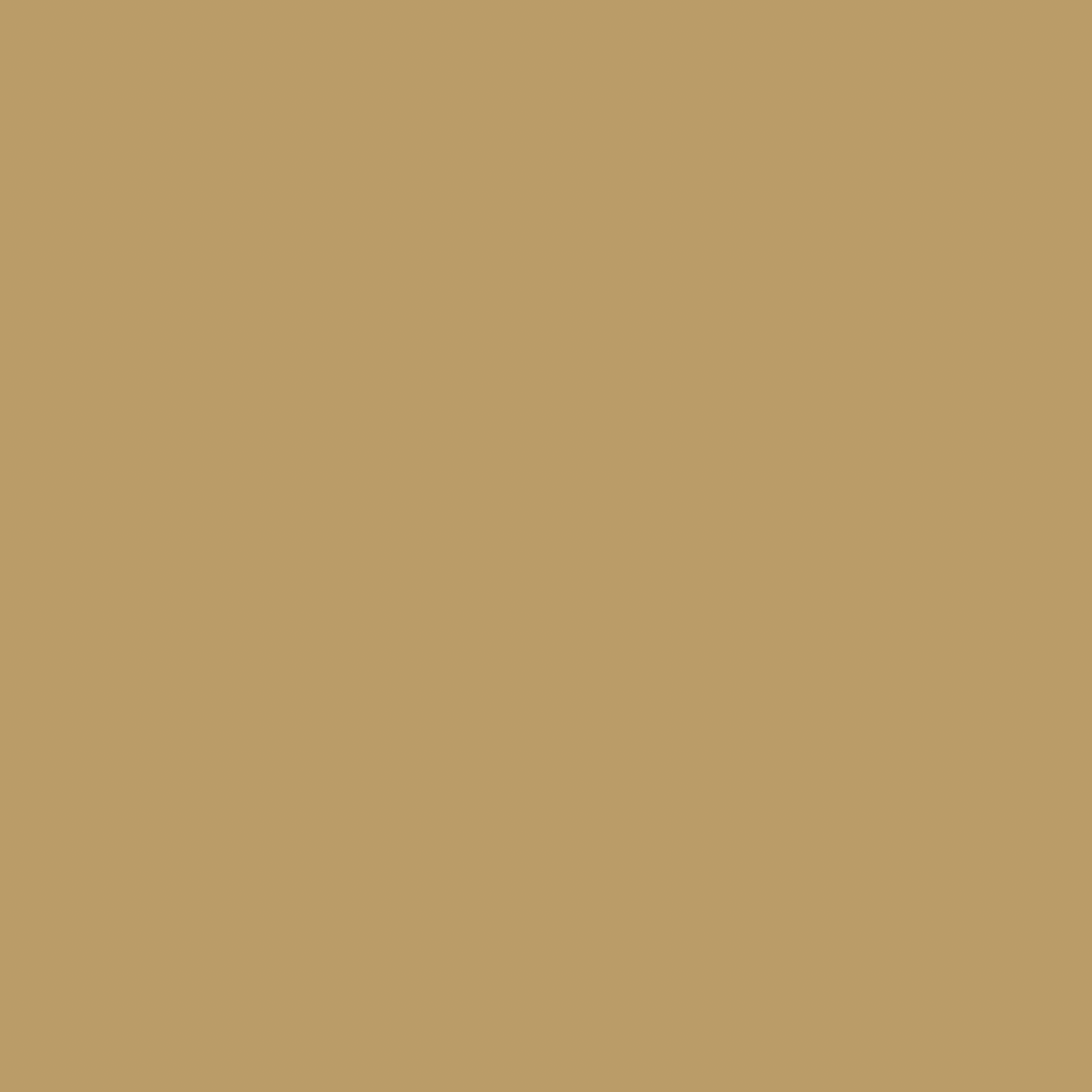 Farrow & Ball Duster No.319 paint