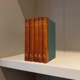 Hornborg World History 1961 vintage book set of 5 — decorative spines