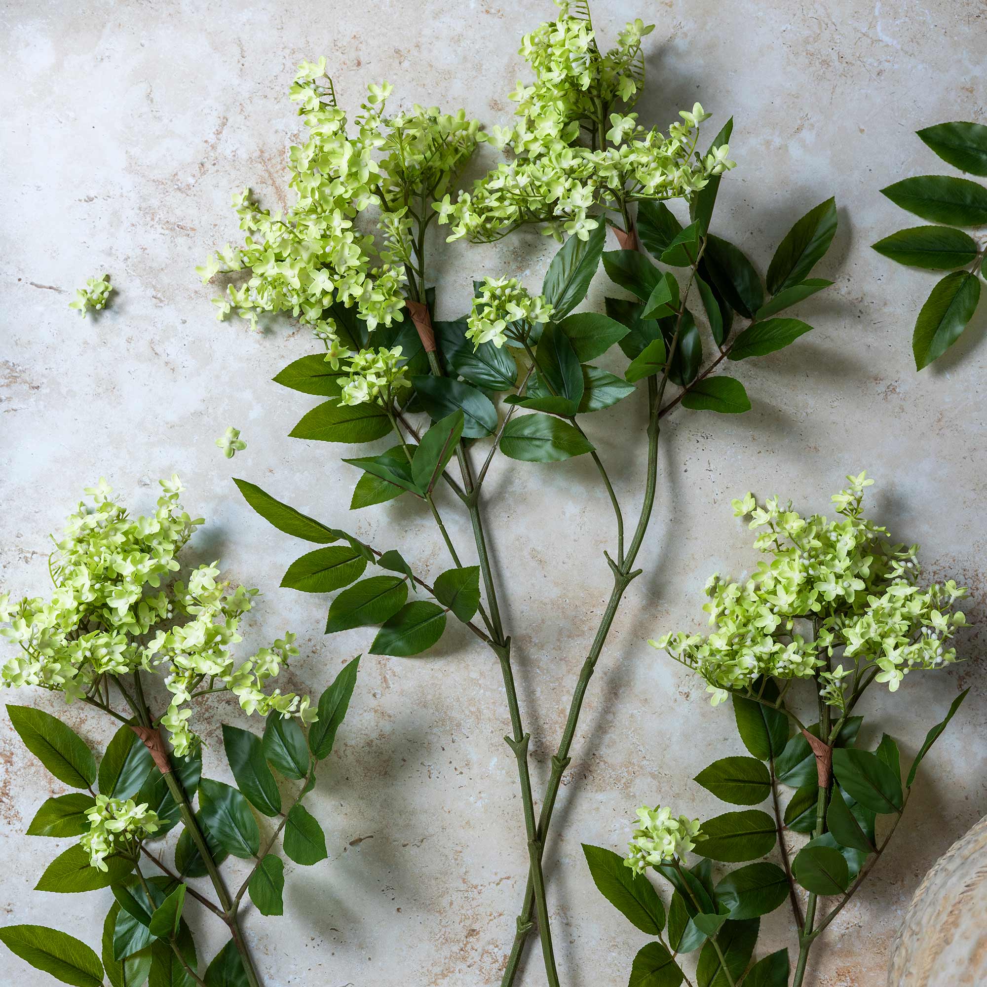 Faux Lilac Stem - Pistachio by Abigail Ahern