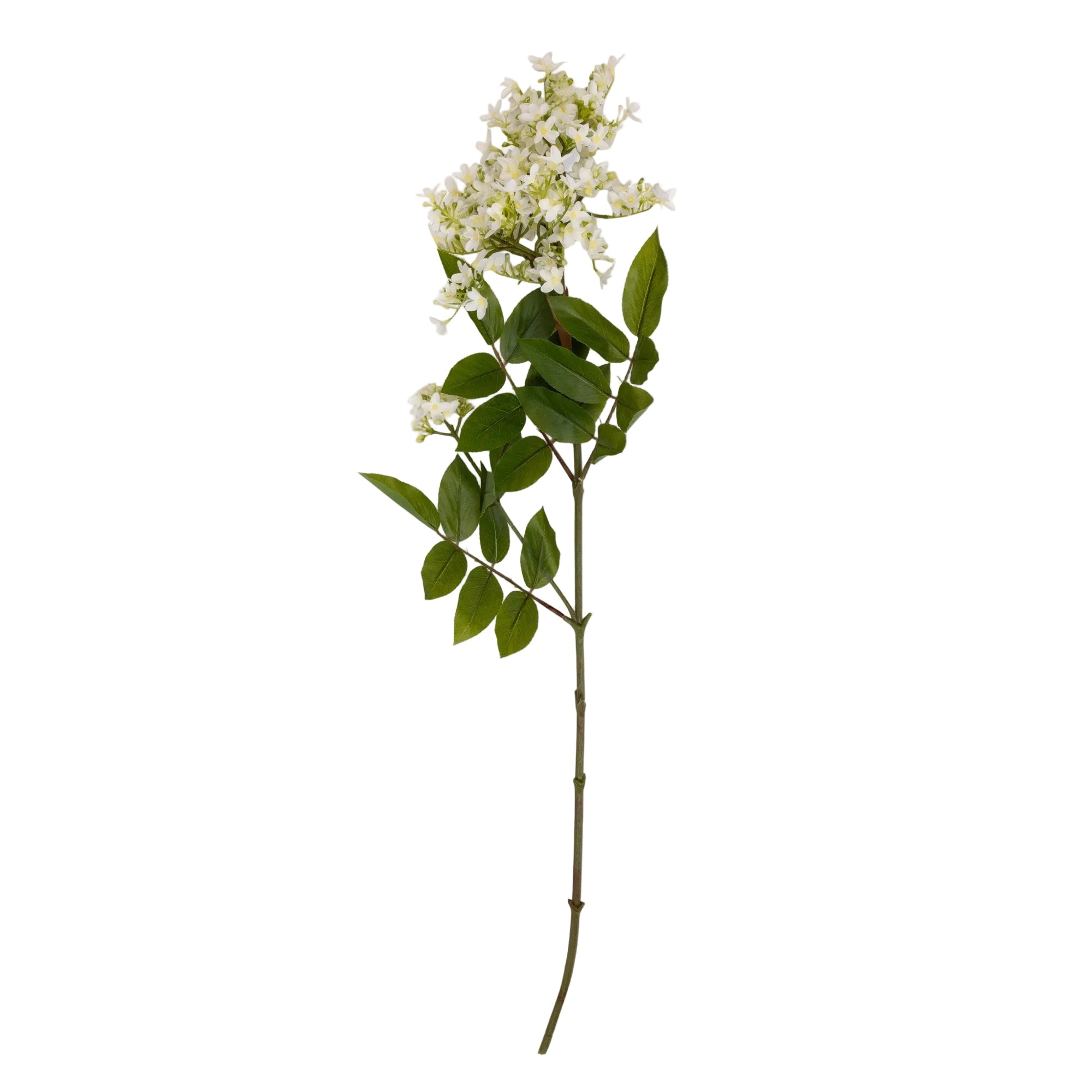 Single white faux lilac stem cutout on white background, 34-inch faux lilac stem with green foliage by Abigail Ahern