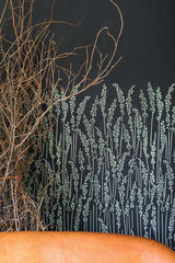 Feather Grass 5106 wallpaper lifestyle photo