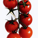 Flamingo Estate Heirloom Tomato dish soap featuring a vibrant vine of fresh red Roma tomatoes on a clean white background.