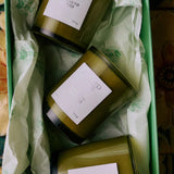 Close-up of three petite Flamingo Estate candles arranged in a green presentation