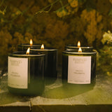 Flamingo Estate Golden Pollinator soy wax candles in dark green glass jars with white labels on a rustic wooden surface.