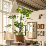 Grazia Pendant above a monstera on a woven pedestal table with bobbin mirrors and brass sconces at Calimia Home