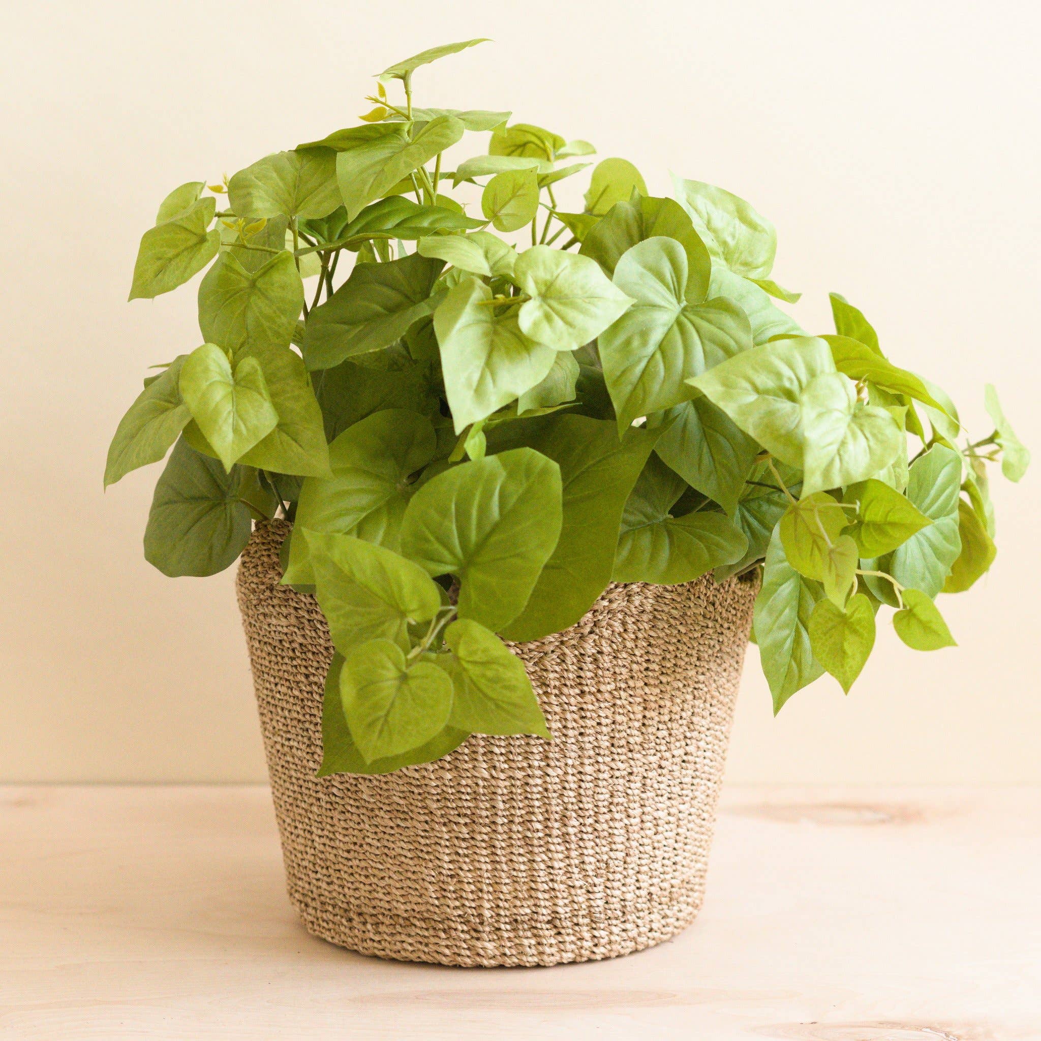 Handwoven Scallop Basket - Natural