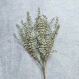 Single artificial heather stem on white background, delicate sage-toned faux floral