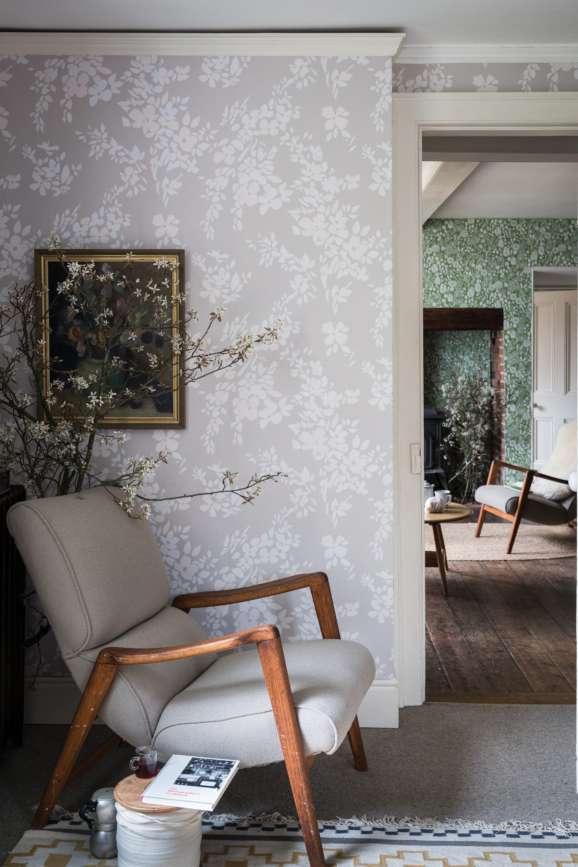 Hegemone 5703 wallpaper lifestyle photo