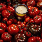 Flamingo Estate Heirloom Tomato soy wax candle in a dark glass jar surrounded by fresh red and dark heirloom tomatoes.