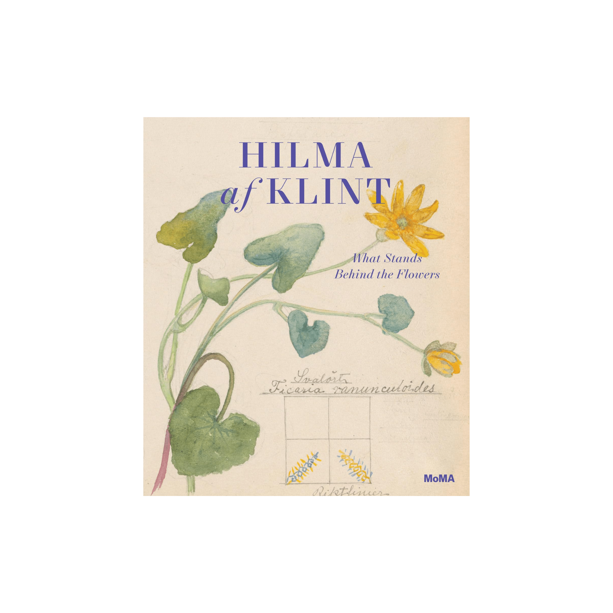 Book cover of 'Hilma af Klint: What Stands Behind the Flowers' with floral illustrations and text.