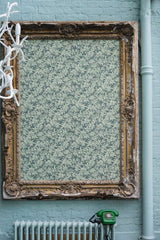 Jasmine 3905 wallpaper lifestyle photo
