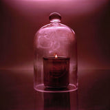 Calimia Home Jasmine Damask Rose candle in a fluted forest-green vessel under a glass cloche with wisps of smoke