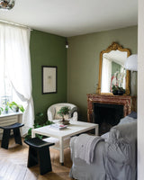 Room painted in Farrow & Ball Lichen No.19