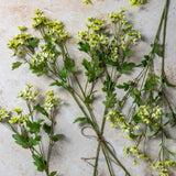 Abigail Ahern Artificial Meadow Daisy styled in the Large Sonta Vase with four stems, home interior setting