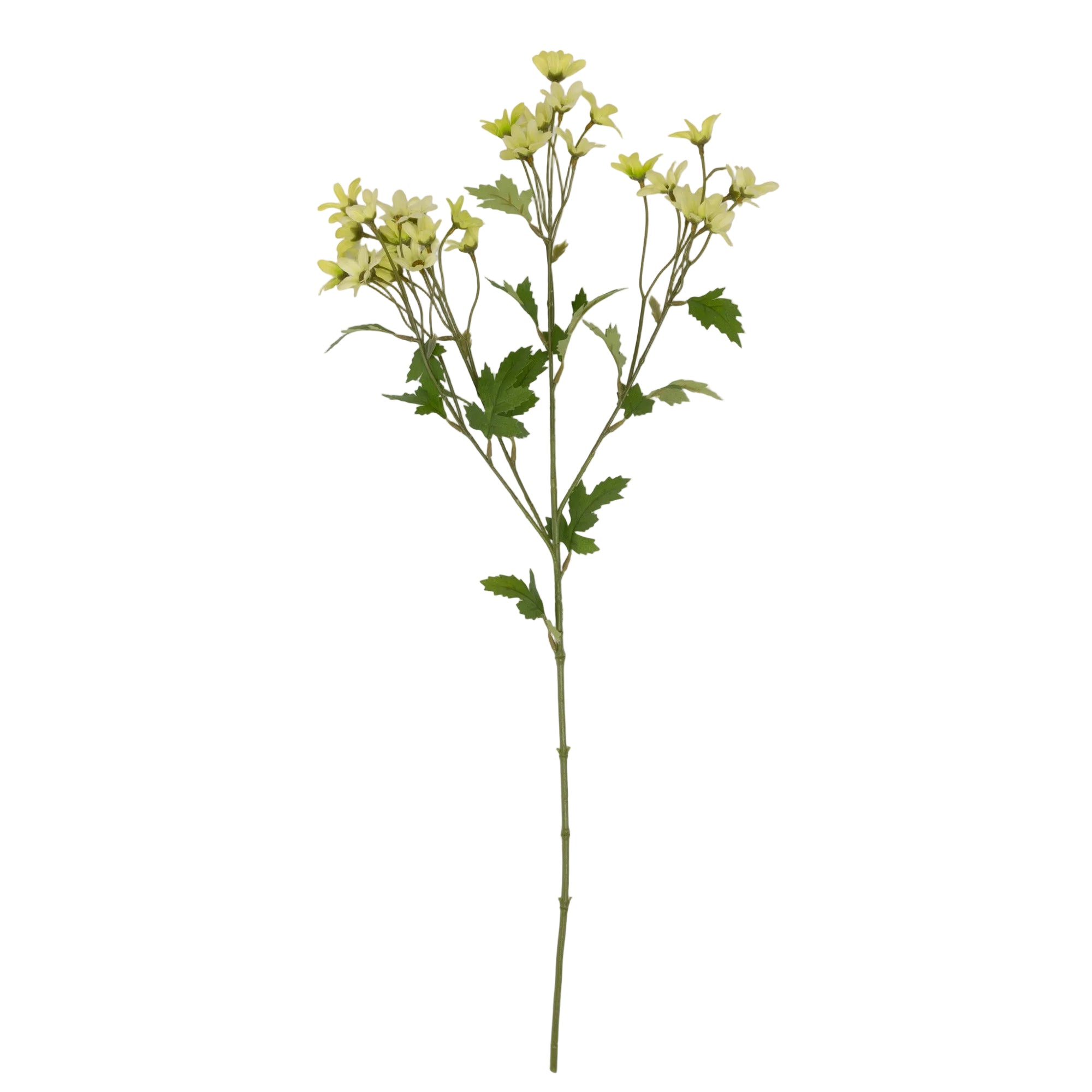 Artificial Meadow Daisy by Abigail Ahern on white background, single stem with delicate flower heads and verdant leaves