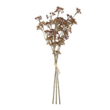 Faux meadow sedge stem in natural tones with three smaller stems on white background, by Abigail Ahern