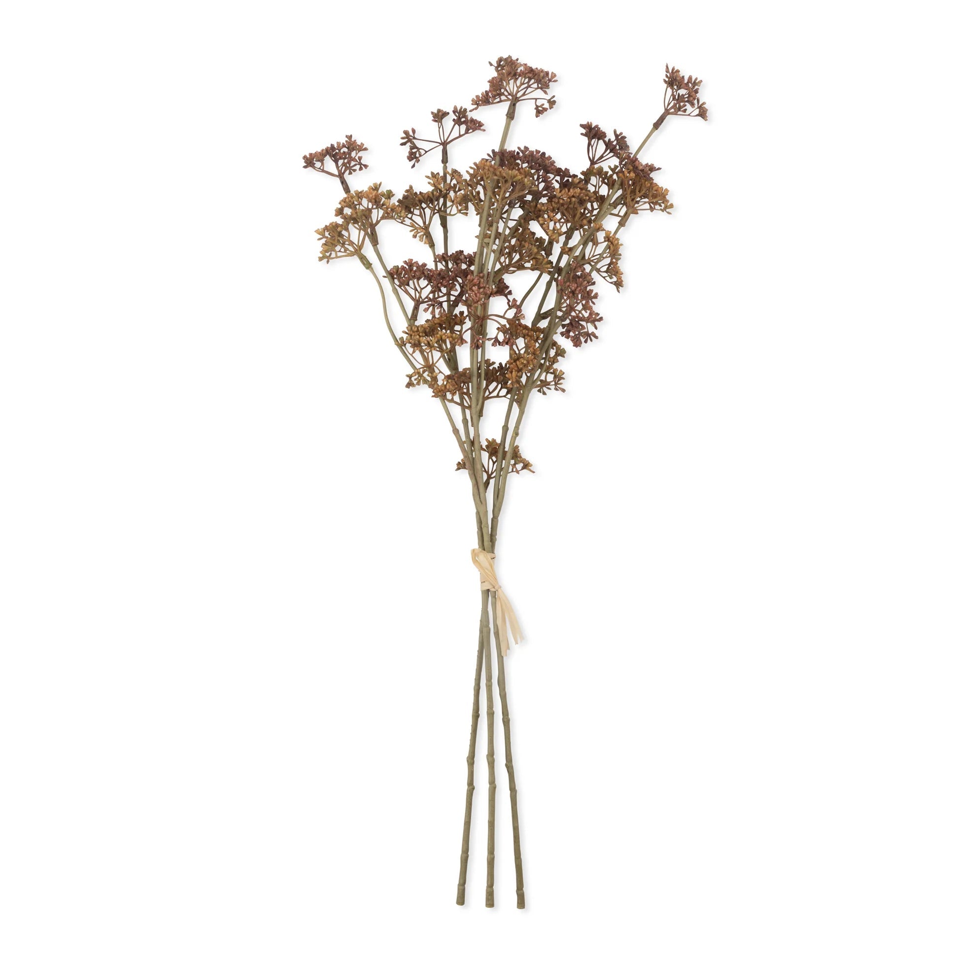 Faux meadow sedge stem in natural tones with three smaller stems on white background, by Abigail Ahern