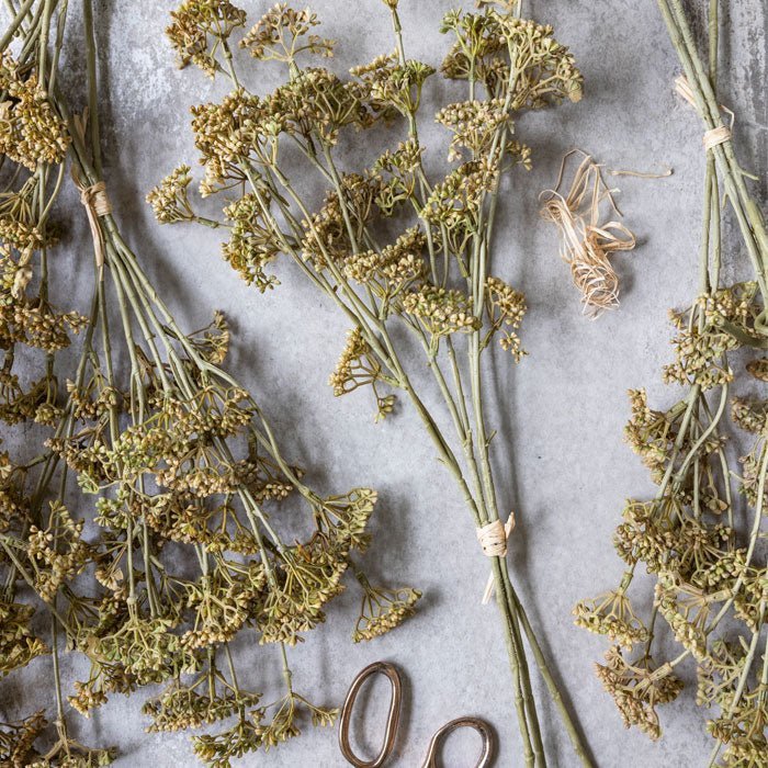 Meadow sedge styled in floral arrangement, layered with neutral natural-tone botanicals