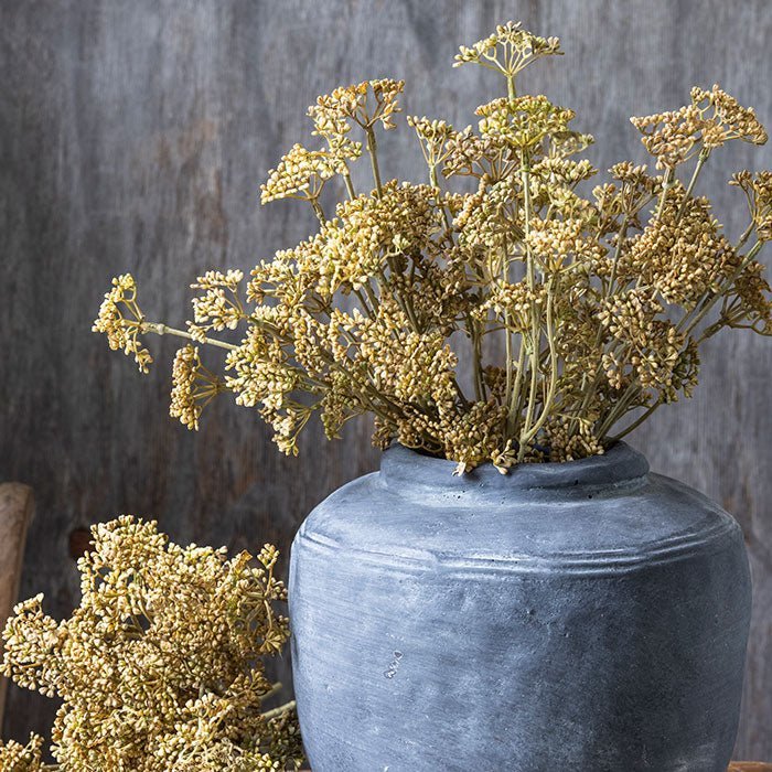 Meadow sedge natural stem showcasing wild textural quality and organic form