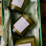 Close-up of three petite Flamingo Estate candles arranged in a green presentation