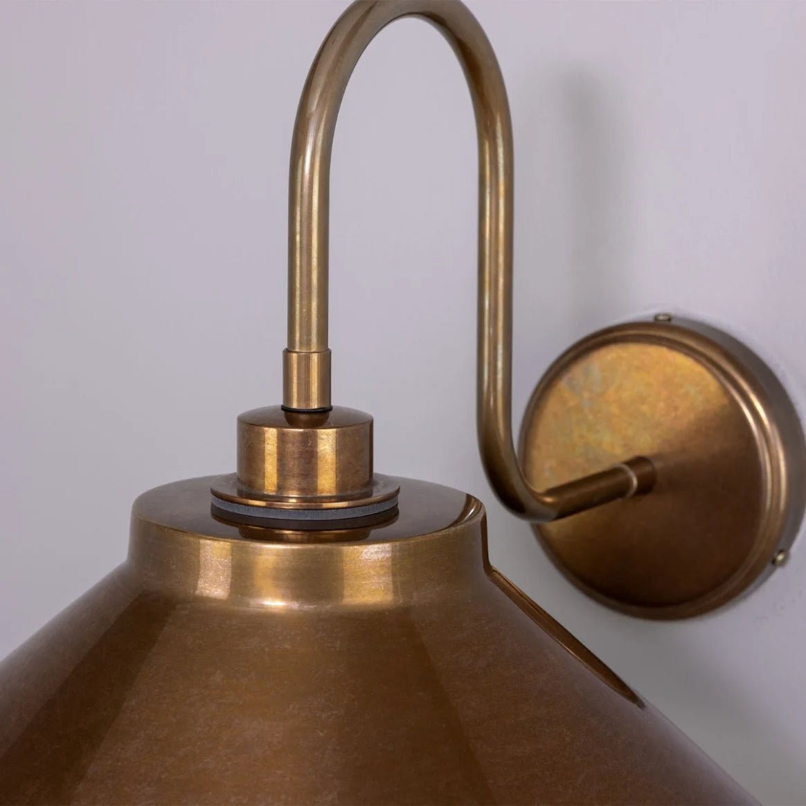 Nerissa Brass Swan Neck Wall Light