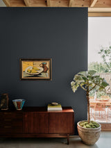 Room painted in Farrow & Ball Railings No.31