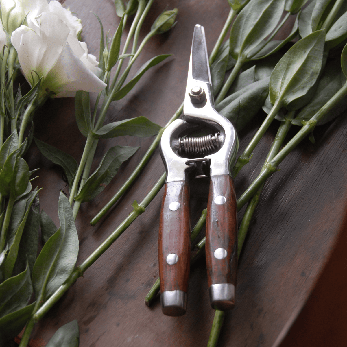 Calimia Home Redwood Floral Snips with stainless steel blades and dark wood handles resting on a wooden surface.