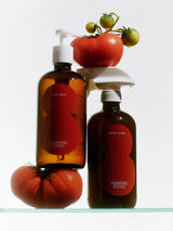 Flamingo Estate Roma Heirloom Tomato Dish Soap and Surface Cleaner bottles cluster with a fresh tomato vine and ripe heirloom tomato on a glass shelf.