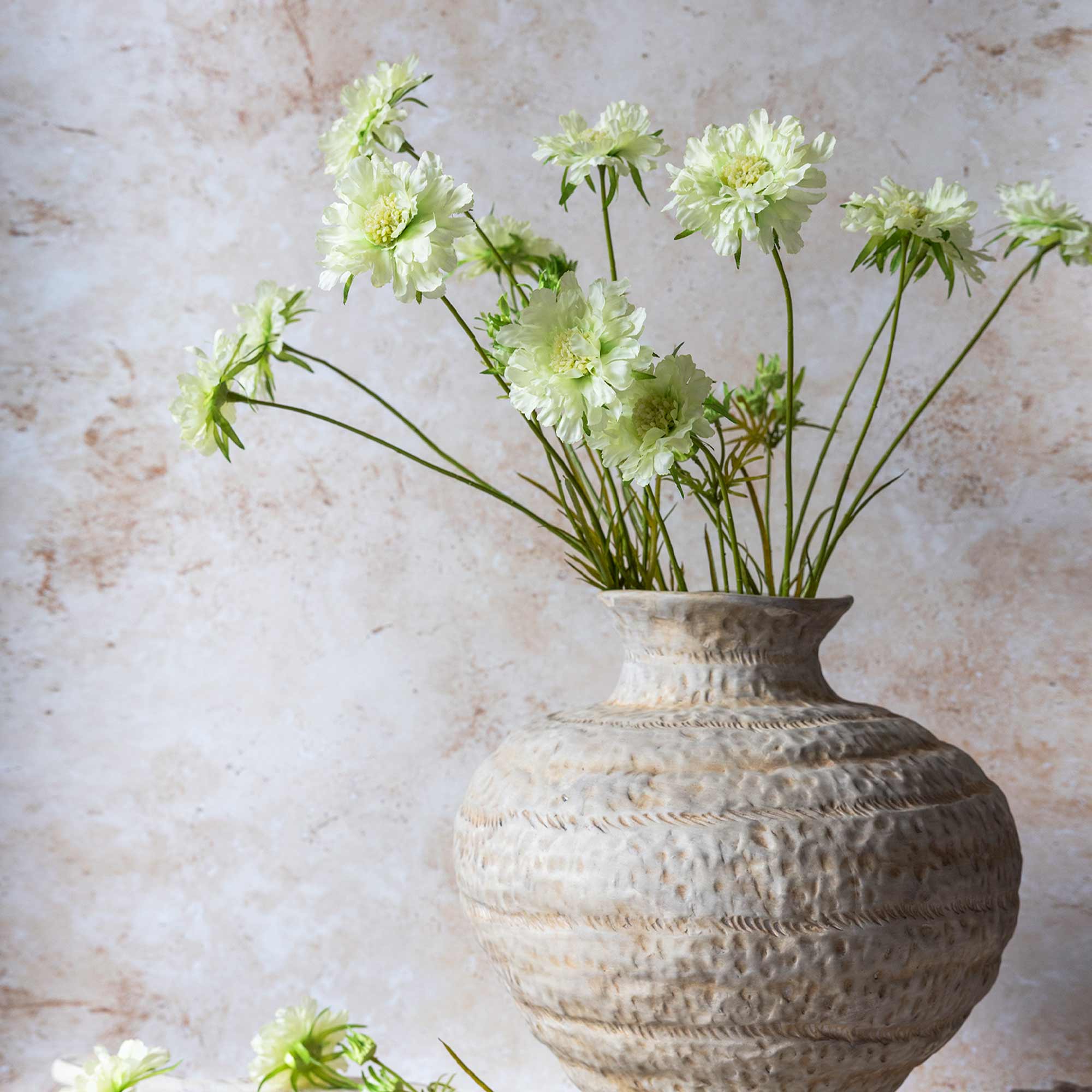 Close-up of Artificial Scabious Flower Cream by Abigail Ahern showing airy pincushion blooms and slender arching stems
