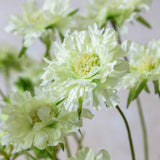 Artificial Scabious Flower Cream by Abigail Ahern detail view showing fabric petal texture and naturalistic stem