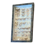Vintage butterfly entomology display in glass-front frame