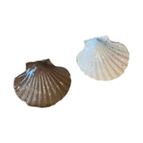 Calimia Home ceramic scallop shell trinket dishes in speckled cream and earth-toned brown with ribbed detailing.