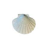 Calimia Home speckled cream ceramic scallop shell trinket dish with ribbed detailing for coastal home decor