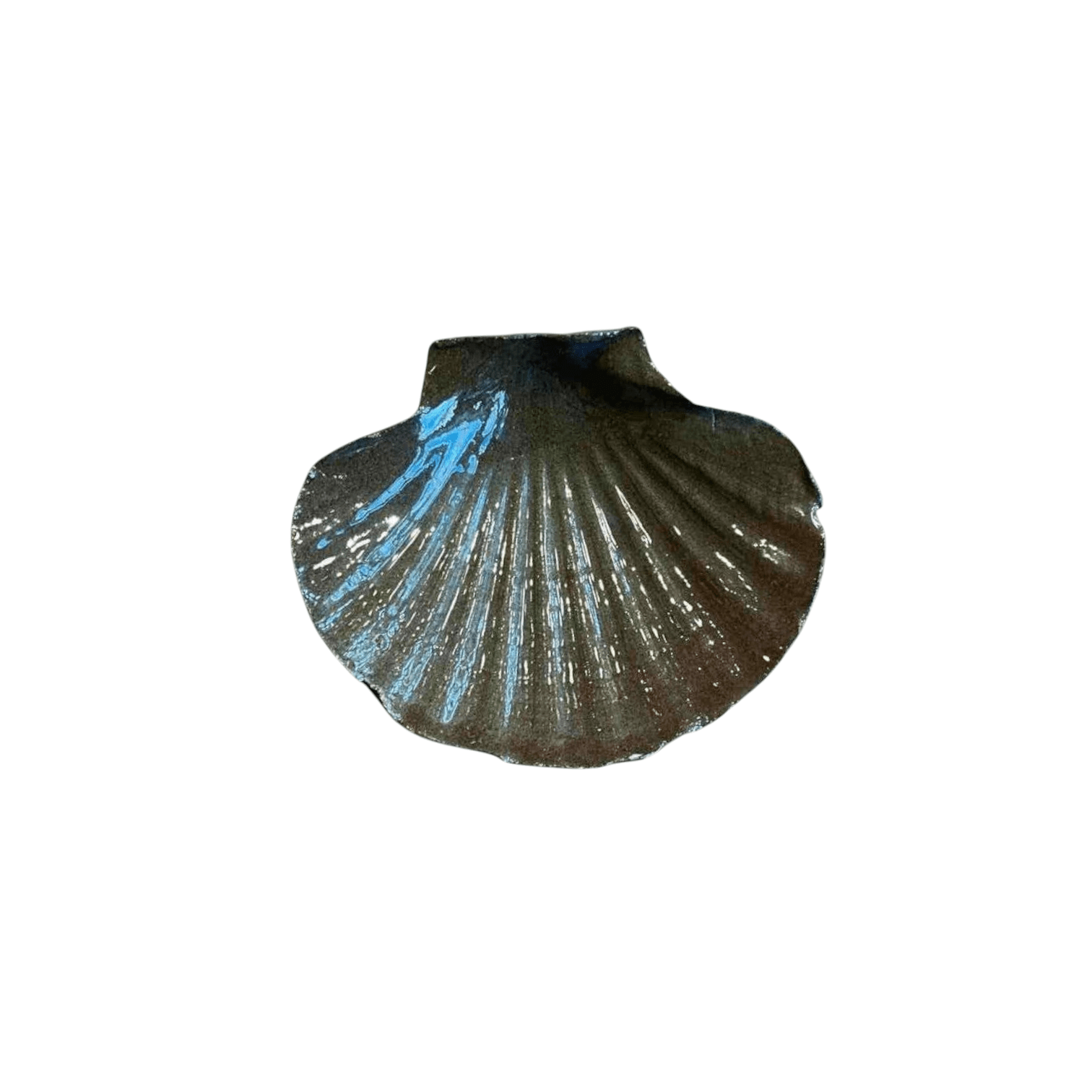 Calimia Home decorative ceramic scallop shell trinket dish in a glossy earth-toned glaze with ribbed detailing.